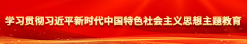 男操女操日烂了学习贯彻习近平新时代中国特色社会主义思想主题教育